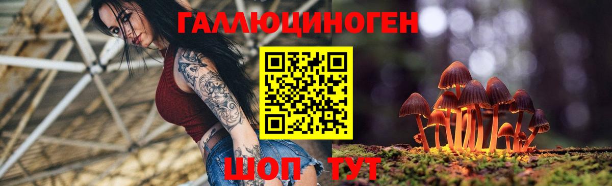 Строитель  купить наркоту  Вход с VPN  Псилоцибиновые грибы прущие грибы  Псилоцибиновые грибы мицелий 